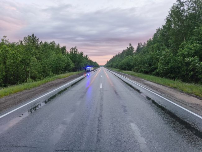 На автодороге Сыктывкар - Ухта водитель Toyota Camry опрокинулся в кювет, два человека госпитализированы